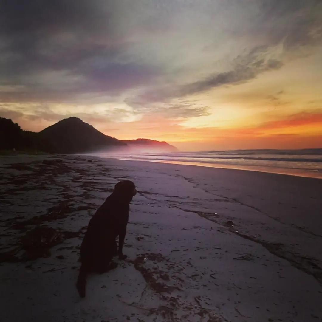 Praia De Itamambuca- Casa Charmosa E Iluminada Ubatuba Εξωτερικό φωτογραφία